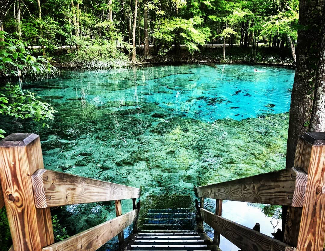 Ginnie Springs