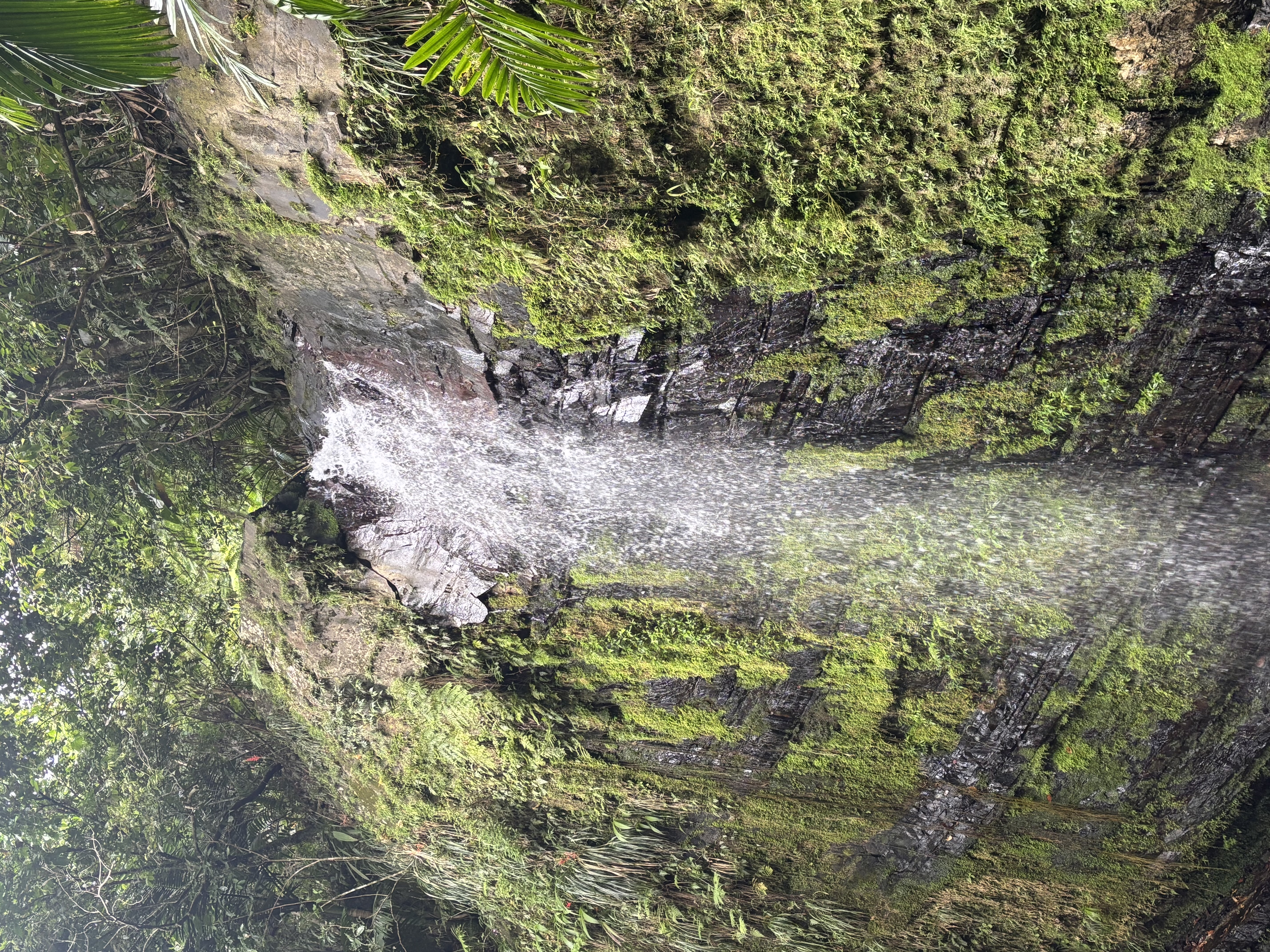 A waterfall flowing down a rocky cliff surrounded by greenery in Puerto Rico