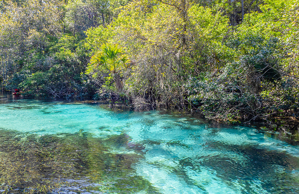 Weeki Wachee Springs